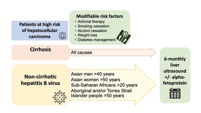 HCC surveillance flow chart